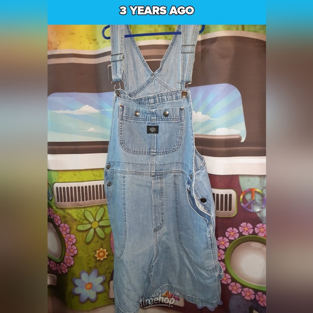Harley-Davidson bib overalls